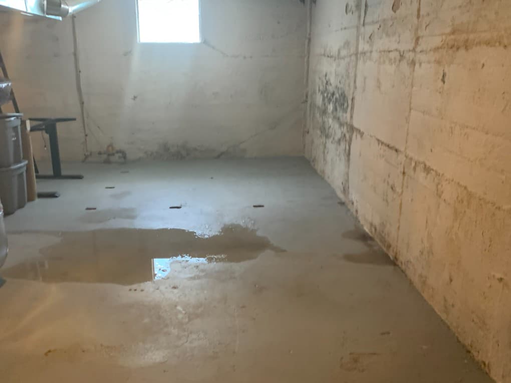 Wet-basement-Q16332